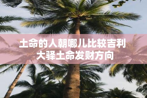 土命的人朝哪儿比较吉利 大驿土命发财方向