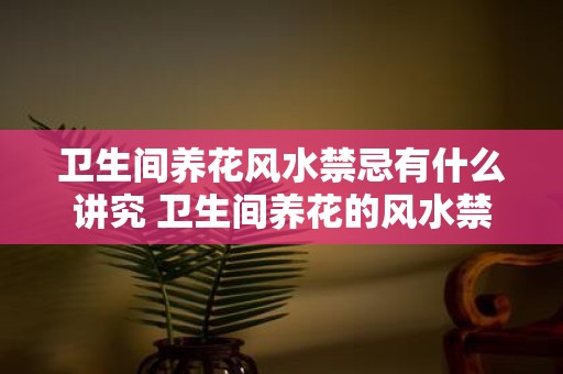 卫生间养花风水禁忌有什么讲究 卫生间养花的风水禁忌