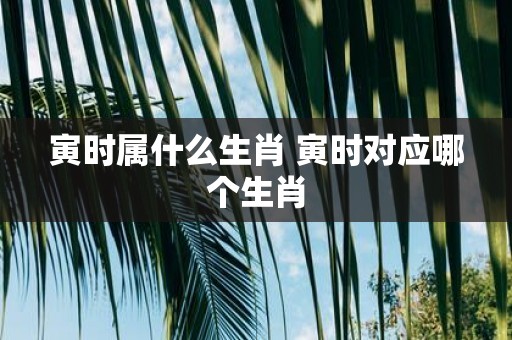 寅时属什么生肖 寅时对应哪个生肖