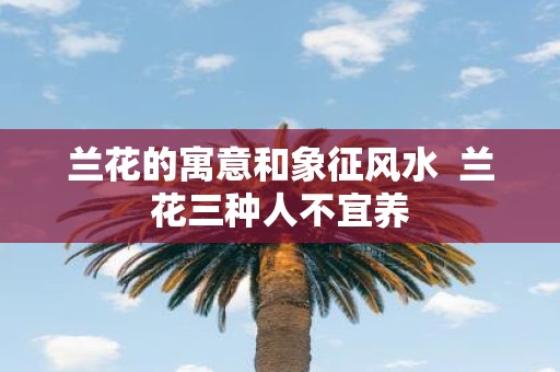 兰花的寓意和象征风水 兰花三种人不宜养