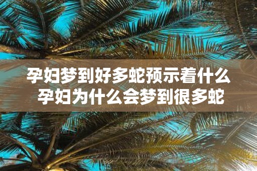 孕妇梦到好多蛇预示着什么 孕妇为什么会梦到很多蛇