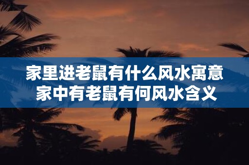 家里进老鼠有什么风水寓意 家中有老鼠有何风水含义