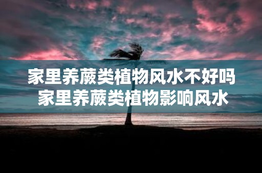 家里养蕨类植物风水不好吗 家里养蕨类植物影响风水吗