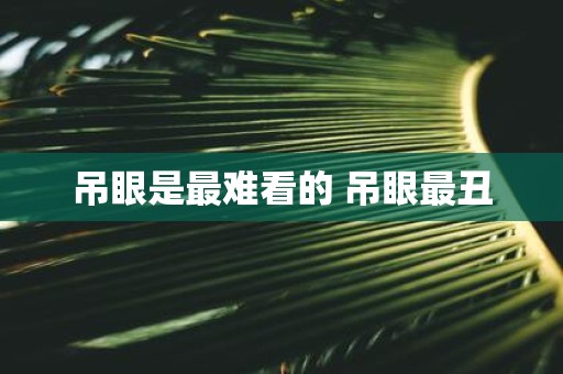 吊眼是最难看的 吊眼最丑