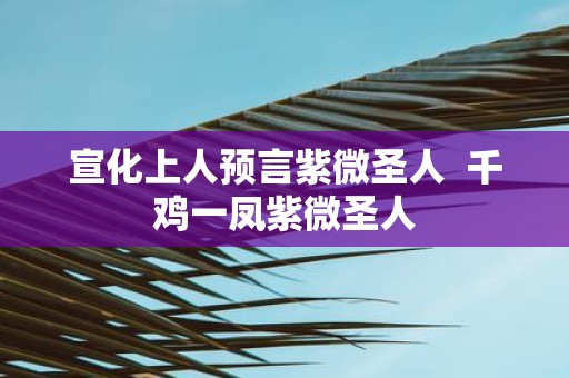 宣化上人预言紫微圣人 千鸡一凤紫微圣人