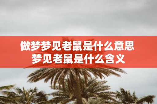 做梦梦见老鼠是什么意思 梦见老鼠是什么含义