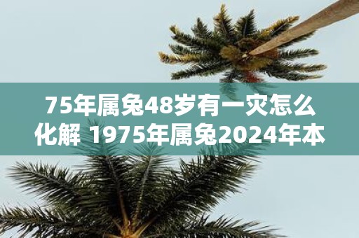 75年属兔48岁有一灾怎么化解 1975年属兔2025年本命年命运如何
