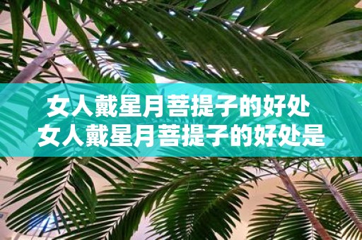 女人戴星月菩提子的好处 女人戴星月菩提子的好处是什么