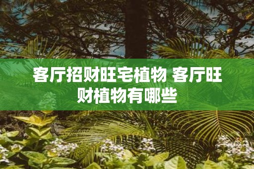 客厅招财旺宅植物 客厅旺财植物有哪些