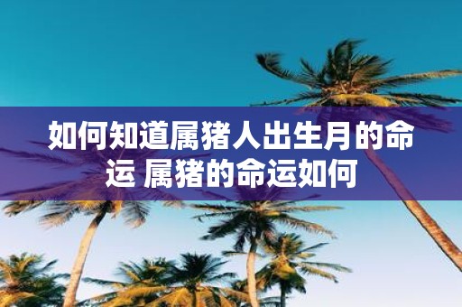 如何知道属猪人出生月的命运 属猪的命运如何