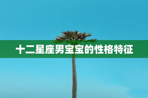 十二星座男宝宝的性格特征
