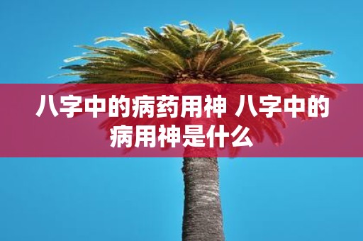 八字中的病药用神 八字中的病用神是什么