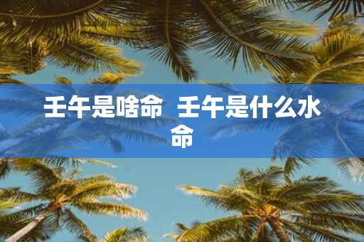 壬午是啥命 壬午是什么水命