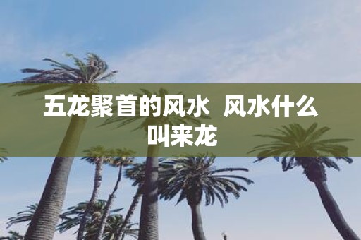 五龙聚首的风水 风水什么叫来龙
