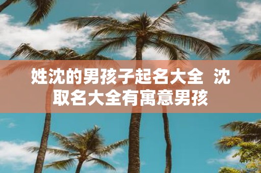 姓沈的男孩子起名大全 沈取名大全有寓意男孩