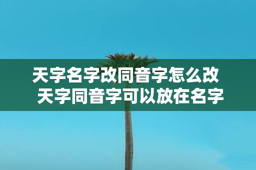 天字名字改同音字怎么改 天字同音字可以放在名字里吗