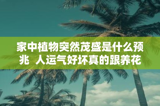家中植物突然茂盛是什么预兆 人运气好坏真的跟养花有关吗