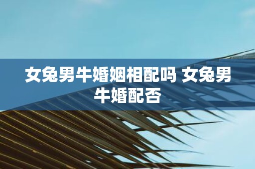 女兔男牛婚姻相配吗 女兔男牛婚配否