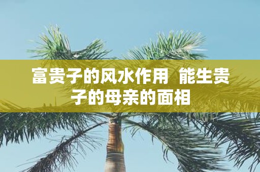 富贵子的风水作用 能生贵子的母亲的面相