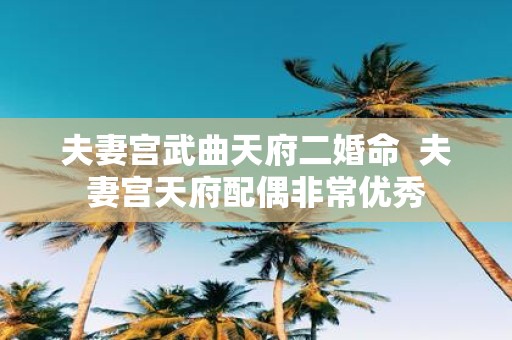 夫妻宫武曲天府二婚命 夫妻宫天府配偶非常优秀