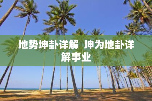地势坤卦详解 坤为地卦详解事业