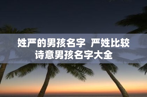姓严的男孩名字 严姓比较诗意男孩名字大全