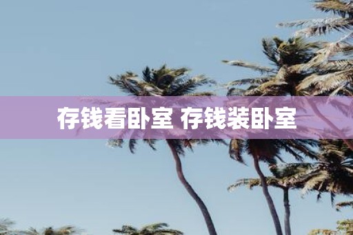 存钱看卧室 存钱装卧室