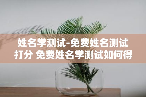 姓名学测试-免费姓名测试打分 免费姓名学测试如何得分