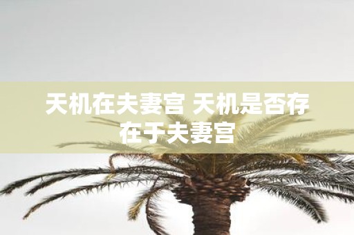 天机在夫妻宫 天机是否存在于夫妻宫