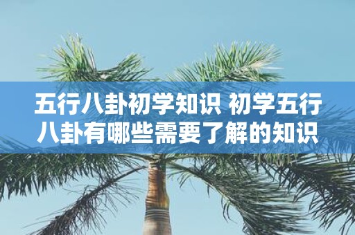 五行八卦初学知识 初学五行八卦有哪些需要了解的知识