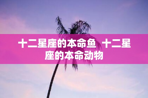 十二星座的本命鱼 十二星座的本命动物