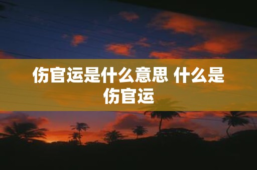 伤官运是什么意思 什么是伤官运