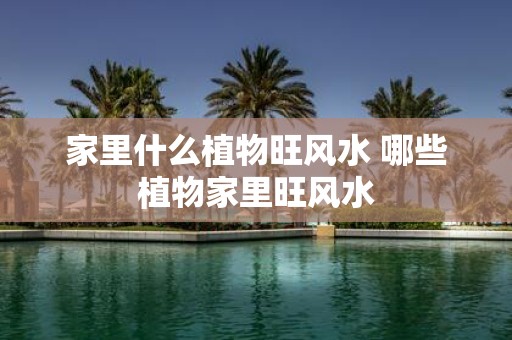 家里什么植物旺风水 哪些植物家里旺风水