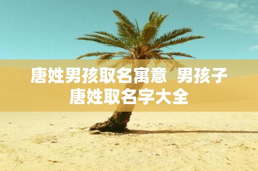 唐姓男孩取名寓意 男孩子唐姓取名字大全