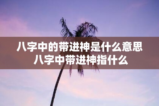 八字中的带进神是什么意思 八字中带进神指什么