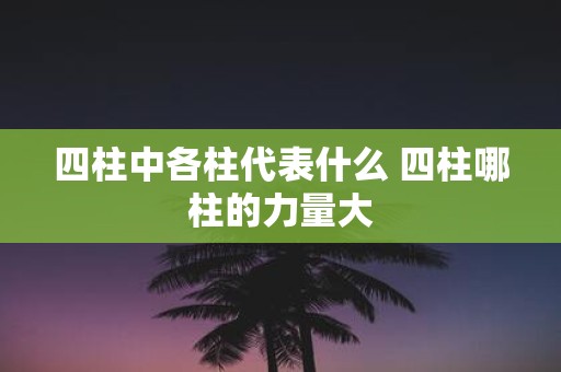 四柱中各柱代表什么 四柱哪柱的力量大