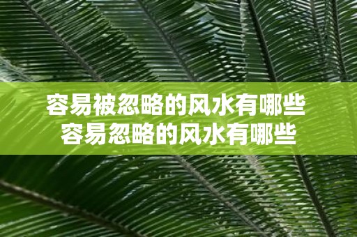 容易被忽略的风水有哪些 容易忽略的风水有哪些