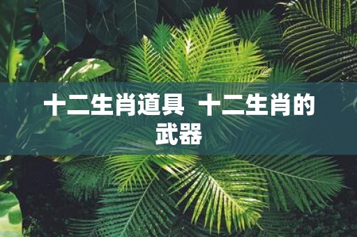 十二生肖道具 十二生肖的武器