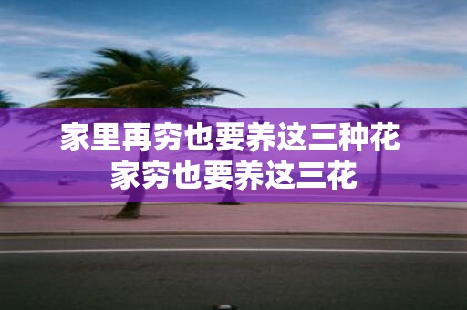 家里再穷也要养这三种花 家穷也要养这三花