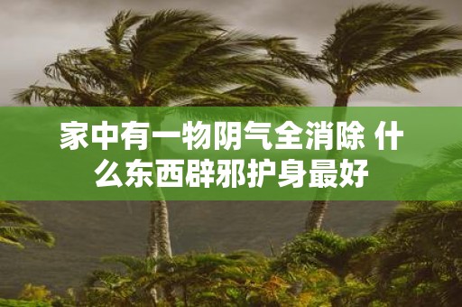 家中有一物阴气全消除 什么东西辟邪护身最好