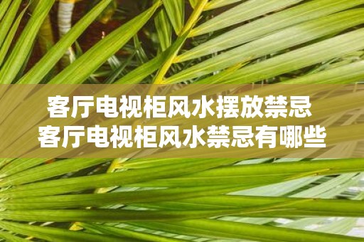 客厅电视柜风水摆放禁忌 客厅电视柜风水禁忌有哪些
