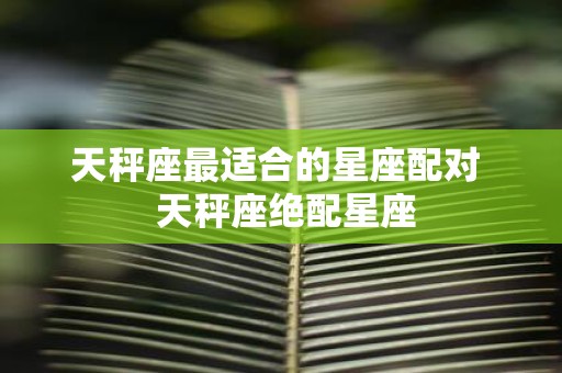 天秤座最适合的星座配对 天秤座绝配星座