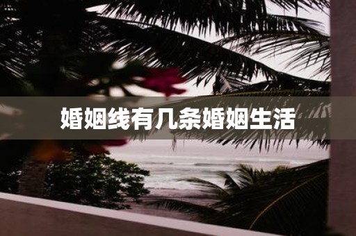 婚姻线有几条婚姻生活