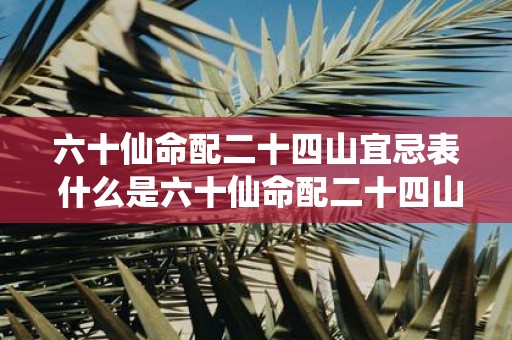 六十仙命配二十四山宜忌表 什么是六十仙命配二十四山的宜忌表