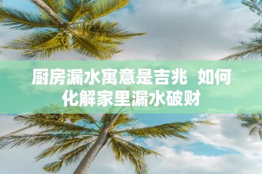 厨房漏水寓意是吉兆 如何化解家里漏水破财
