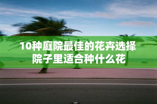 10种庭院最佳的花卉选择 院子里适合种什么花