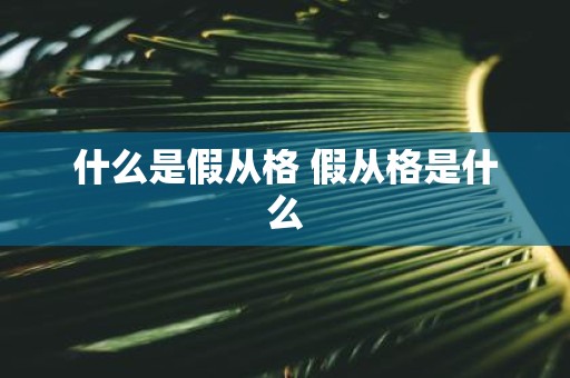 什么是假从格 假从格是什么