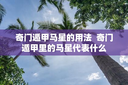 奇门遁甲马星的用法 奇门遁甲里的马星代表什么