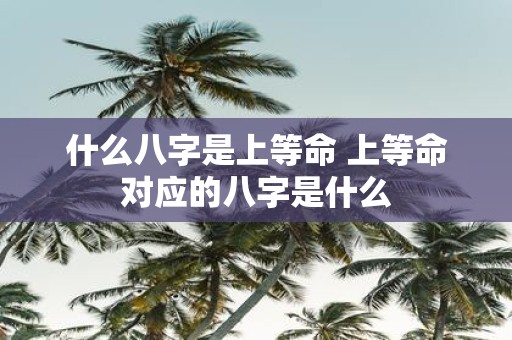 什么八字是上等命 上等命对应的八字是什么