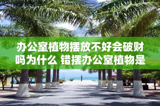 办公室植物摆放不好会破财吗为什么 错摆办公室植物是否破财